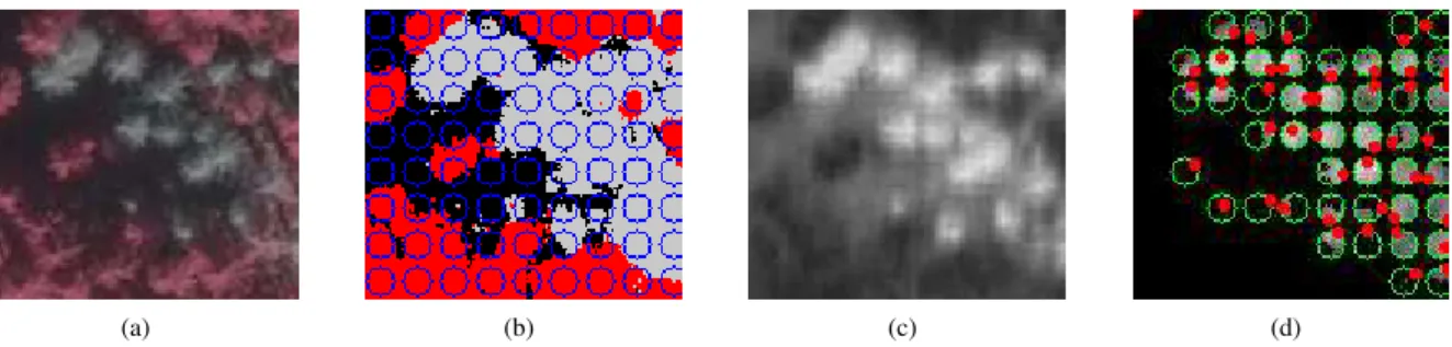 Figure 3. Selecting locations for initializing the level set segmentation. (a) Input image