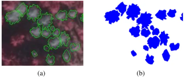 Figure 5. Reference data created using manual delineation in im- im-age. (a) Contours of marked polygons