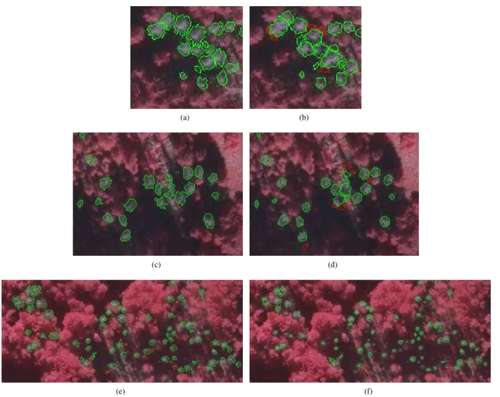 Figure 6. Reference and detected polygons. (a), (c), (e): reference polygons respectively of Plot 1,2, and 3