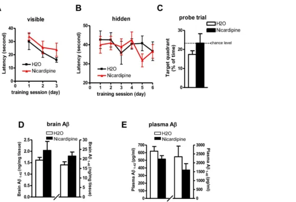 Figure 5. Effect of chronic nicardipine treatment on spatial memory and neuropathology in Tg2576 mice