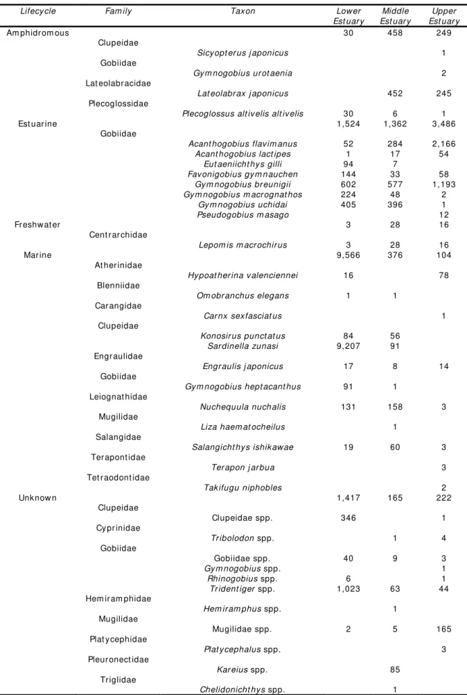 Table 3  Act ual count of t he 36 fish t axa in t he 3 st at ions grouped according t o lifecycle cat egory 