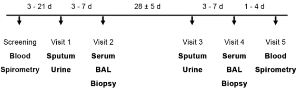 Figure 3. Study design. Blood refers to the sample that was used for hematology and blood chemistry