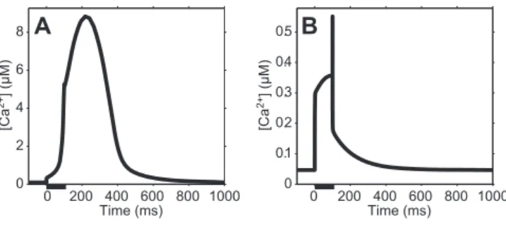 Figure 4. Concentration of Phosphorylated AMPARs at Various Time Points and at Various Numbers of Stimulated Synapses (A) [P-AMPAR] is three-dimensionally plotted against time and N.