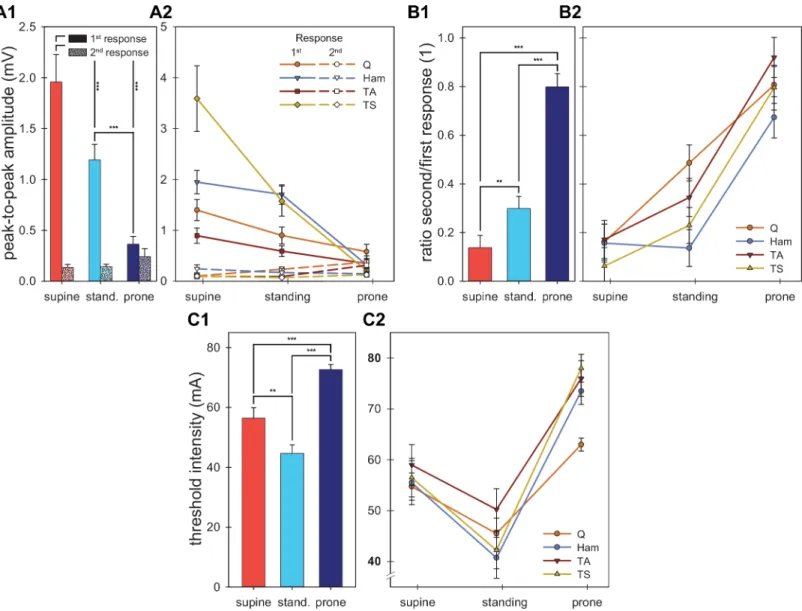 Fig 3. Group results. Means and marginal means are depicted for the peak-to-peak amplitudes of the first and second responses (A), the ratio between the second and first responses (B), and the threshold intensity (C)