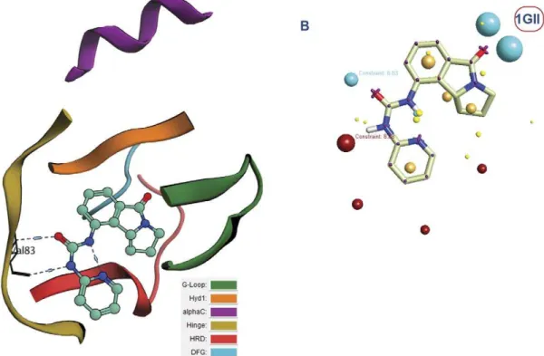 Figure 4. Human cyclin dependent kinase 2 complexed with urea-based cdk4 kinase inhibitor (1GII): (A)The complex illustrated using the color codes that represent the different regions of the binding site: G-loop, Hyd1, alphaC, Hinge, HRD and DFG regions