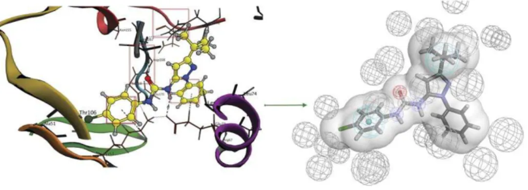 Figure 7. Structure-based pharmacophore construction general outline. The interactions are translated into pharmacophore features while the binding site amino acids are translated into excluded volumes