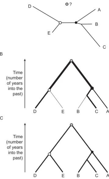 Figure 2. Example Phylogenies, Each Representing the Shared  Ancestry of Five Organisms