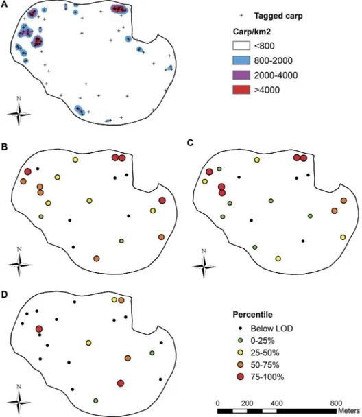 Figure 1. Carp use and distribution of eDNA in Lake Staring. Panel A shows locations of radiotagged carp and high- and low-use areas.