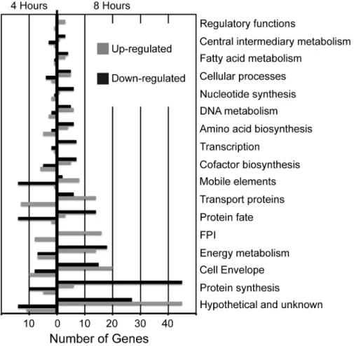 Table  1  lists  the  F.  tularensis  genes  showing  the  largest changes  in  expression  during  transition  from  culture  to infection