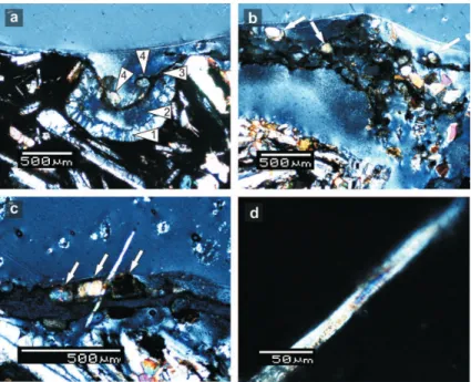 Figure 8. Perpendicular thin sections of rock substrate overgrown by biofilms. Note that biofilms are partly detached from the surface of the rock due to complete drying of the sample