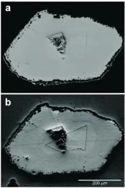 Figure 10. FSD image of a transversely sectioned, partly recrystallized calcite spicule acquired in (a) chemical contrast, (b) orientation contrast.