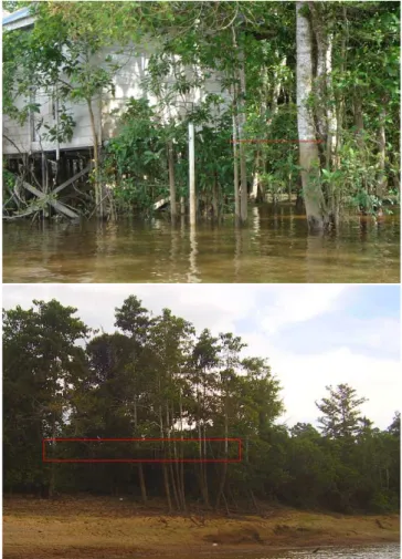 Fig. 3. (top) River bank overtopping in Penyinggahan during the high water event in March 2009