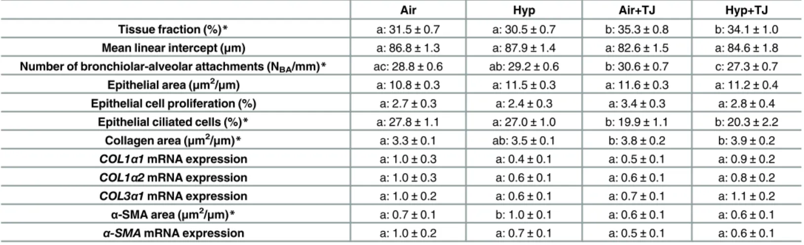 Table 2. Lung morphometry at P56d.