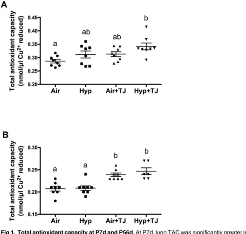 Fig 1. Total antioxidant capacity at P7d and P56d. At P7d, lung TAC was significantly greater in the Hyp +TJ group than in the Air group (A)