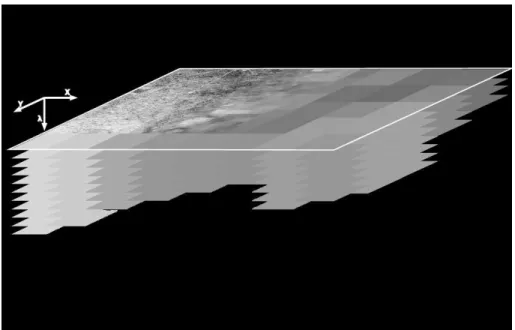 Figure 3. An illustration on how spatial information gets down sampled. The median value of surrounding cells provides the new cell (x, y) value (λ).