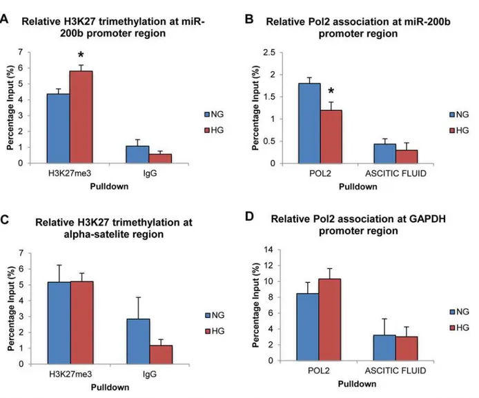 Fig 3. High levels of glucose alter H3K27me3 and RNA polymerase 2 association at the miR-200b promoter region