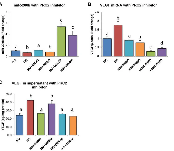 Fig 4. HRMECs treated with 3-Deazaneplanocin A (DZNep) chemical inhibitor demonstrated increased miR-200b and decreased VEGF expression.