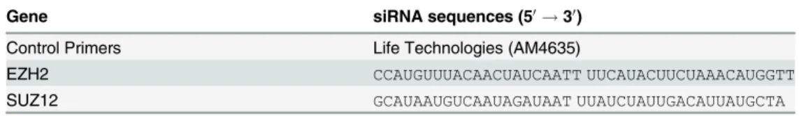 Table 4. Silencing small interfering RNA sequences.