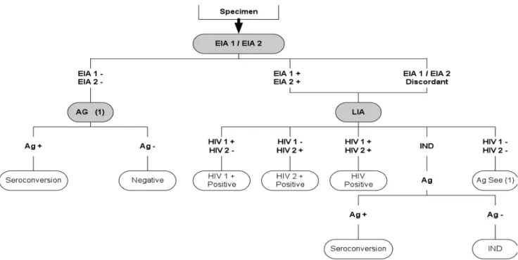 Figure 1. HIV testing algorithm used for quality control and confirmation. EIA 1: EnzygnostH Anti-HIV 1/2 Plus, EIA 2: VironostikaH HIV Uni- Uni-Form II plus O, LIA: INNO-LIA TM HIV I/II Score