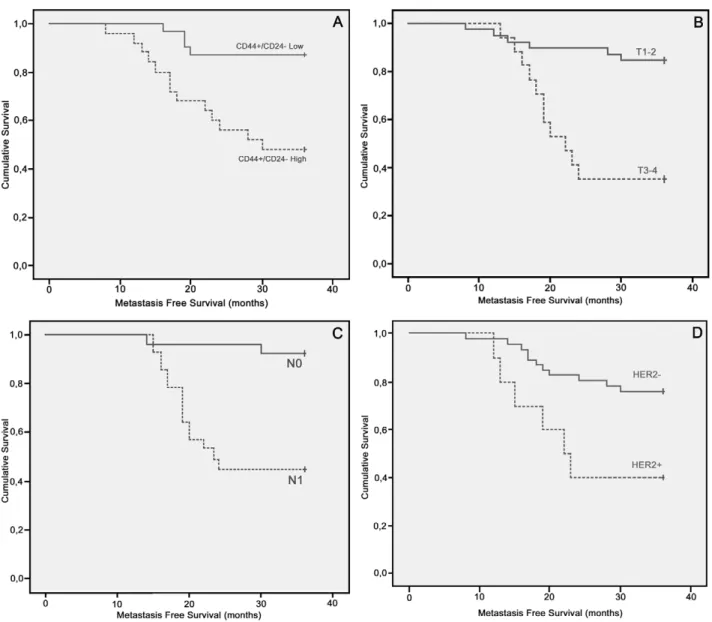 Figure 3. Kaplan–Meier survival plots. Metastasis-free survival in radically resected breast cancer patients according to CD44+/CD242 cells (A), T factor (B), nodal (C) and HER2 (D) status.