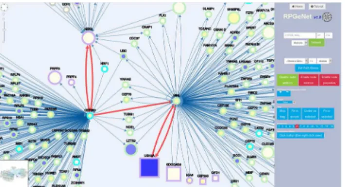 Fig 6 specifically focuses on the RP genes involved in splicing and their closest interactors, namely, the query included PRPF3, PRPF6, PRPF8, PRPF31, SNRP200 and RP9, selecting neighboring nodes at distance 1, over the graph at level 1