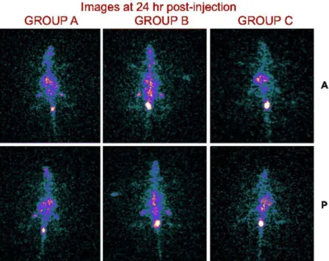 Figure 9. Reduced aggregation is seen on TEM images of PEG-coated PLGA nanoparticles (b) as compared to uncoated nanoparticles (a).