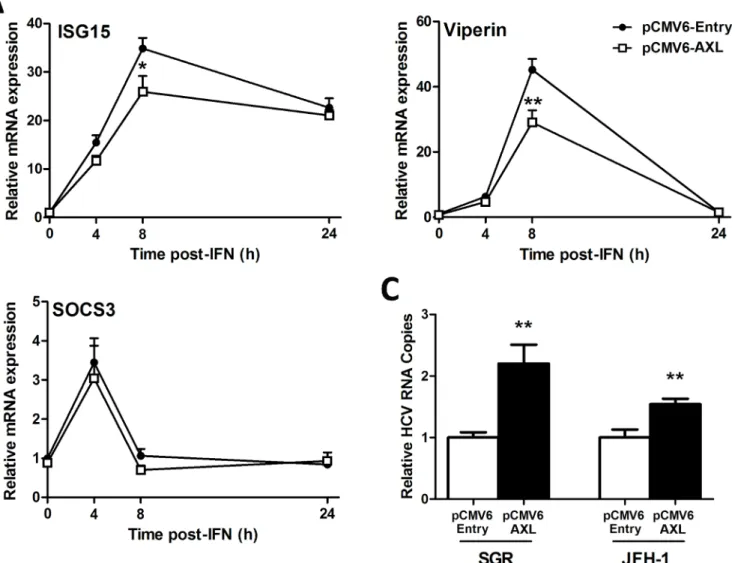 Fig 5. AXL overexpression dampens the antiviral response. Following treatment with 50 U/ml IFNα, Huh-7 cells stably expressing AXL demonstrated blunted ISG15 and viperin expression (A), but no change in SOCS3 (B), compared to control cells