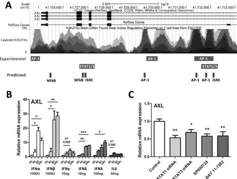Fig 2. AXL expression is mediated by multiple innate immune signalling pathways. To identify inflammatory transcription factor binding sites within the AXL promoter/enhancer region that may mediate AXL expression, the UCSC genome browser was interrogated f