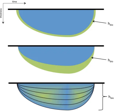Figure 3. Coupling structure between a level model of the ocean with a layer model of sea ice