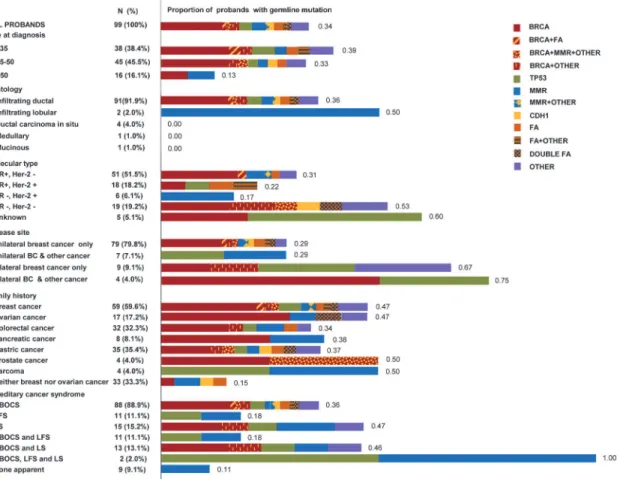 Fig 1. Characteristics of 99 probands and their families, and proportions of probands with germline deleterious mutations