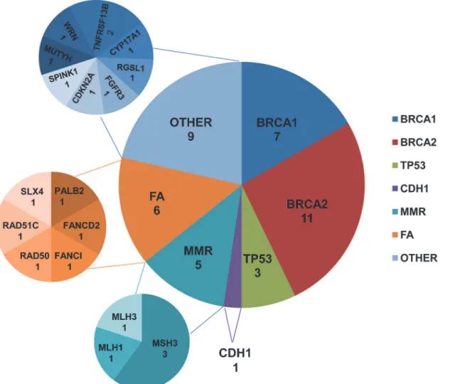 Fig 3. Number of germline loss-of-function mutations identified in different genes. Abbreviations: MMR, mismatch repair; FA, Fanconi anemia.