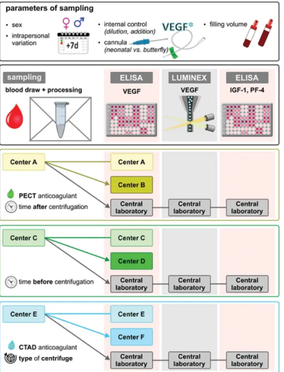 Fig 1. Overview of sample acquisition procedures and the distribution of samples from blood acquisition centers to measuring centers and central laboratory.