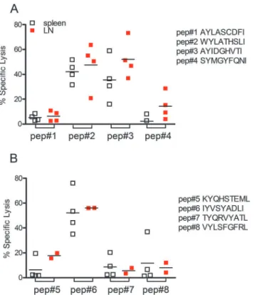 Fig 1. Specific CD8 + T cell-mediated immune response in L. braziliensis-infected BALB/c mice