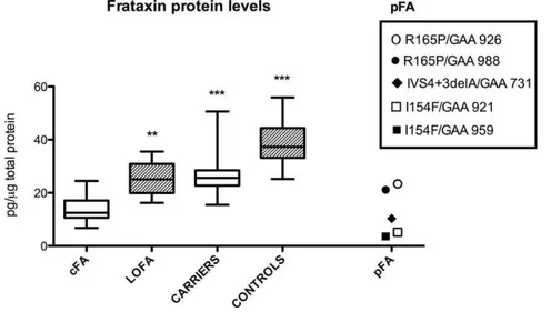 Figure 1. Frataxin protein levels in PMBCs. Box and wiskers plot (min to max) of frataxin levels in cFA (n = 24), LOFA (n = 5), carriers (n = 33), controls (n = 29), and pFA (n = 5)