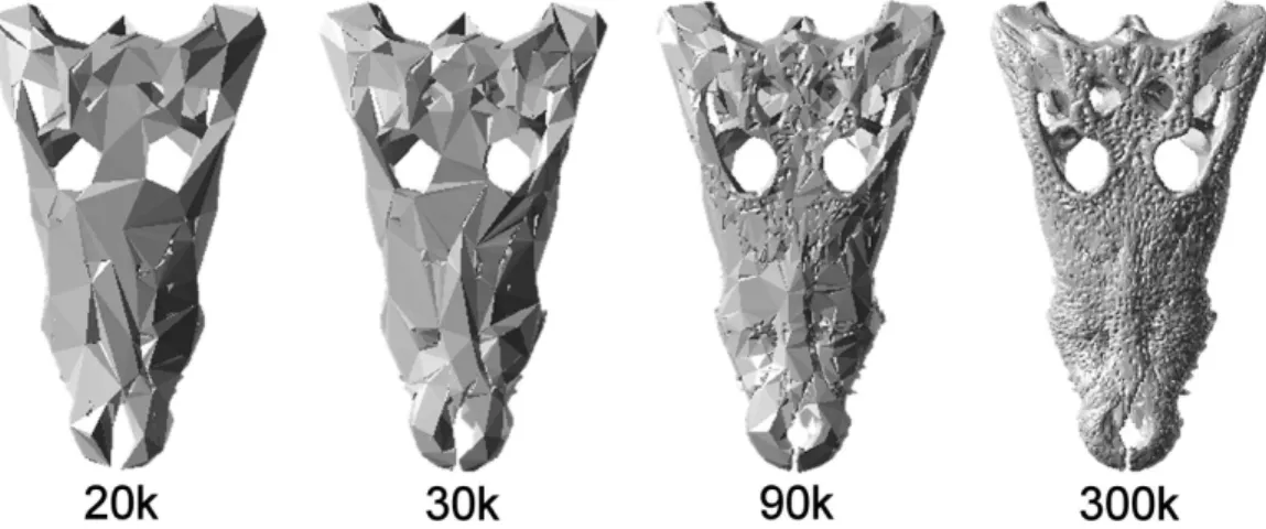 Figure 2 Simplified models. Example of the simplified models. C. moreletti models composed of 20k, 30k, 90k and 300k surface elements.