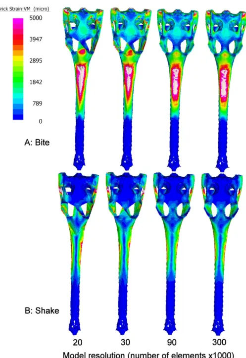 Figure 4 Strain patterns. Variation in VM strain patterns with resolution in Gavialis gangeticus during Shake (A) and Bite (B) load cases
