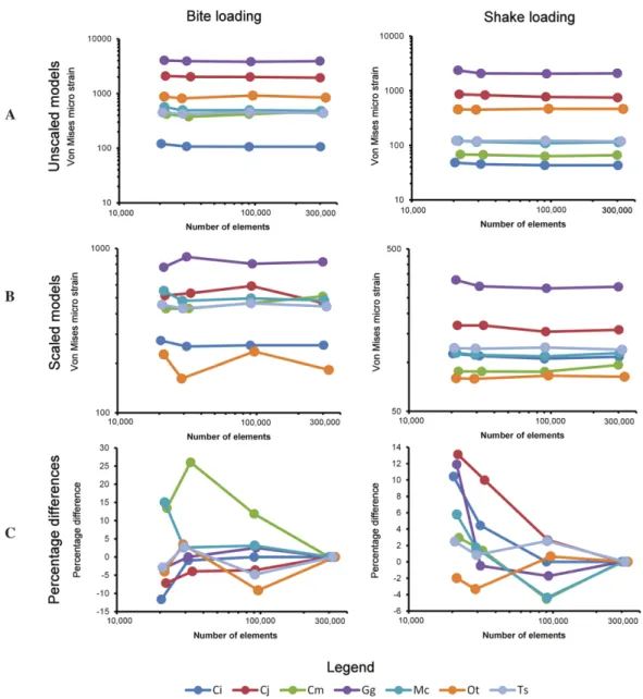 Figure 5 The effect of resolution. (A) The effect of model resolution on 95% vm strain values in unscaled models (natural size)