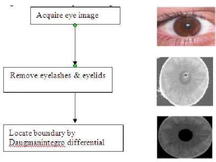 Figure 2. Steps of Iris segmentation