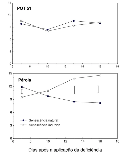 Figura 7 - Atividade da desidrogenase do glutamato mitocondrial (NADH-GDH)  em duas cultivares de Phaseolus vulgaris, durante senescência foliar  natural e induzida por deficiência de P