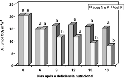 Figura 7 -   Efeito do nível adequado de P (0,5 mol m -3  de P) e de sua deficiência  (0,005 mol m -3  de P), dentro do nível adequado de N (7,5 mol m -3  de  N), sobre a taxa fotossintética líquida (A,  µ mol CO 2  m -2  s -1 ) do primeiro  trifólio compl