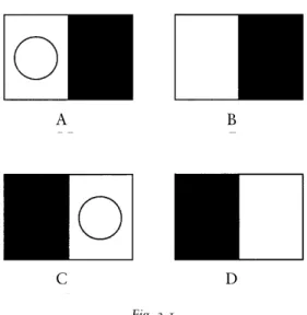 Fig. 3.1 The Wason selection task