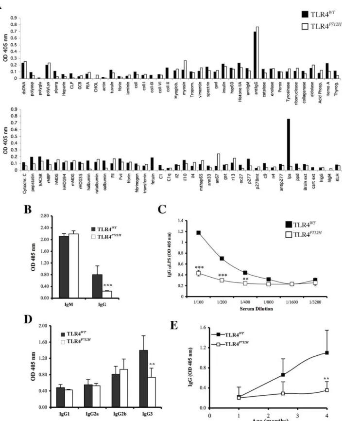 Figure 1. Natural IgG antibodies to LPS are not detectable in TLR4 P712H mice. A. IgG reactivity in pooled blood samples from non- non-immunized TLR4 WT and TLR4 P712H mice