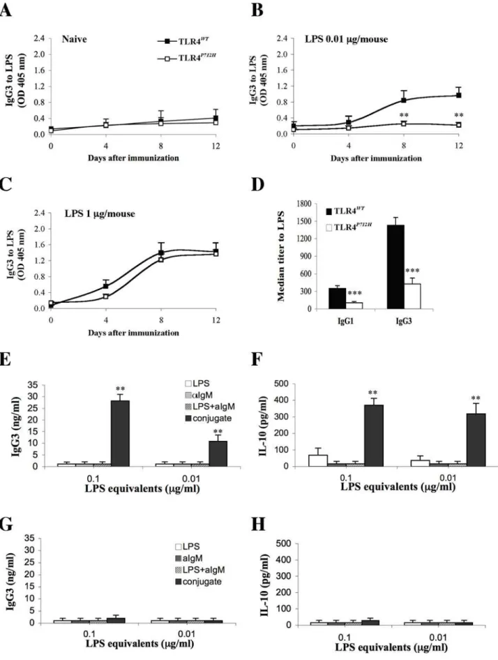 Figure 3. TLR4 and BCR synergize. A–C. TLR4 WT and TLR4 P712H mice were left untreated (A) or immunized with a single low (B, 0.01 mg/mouse) or high (C, 1 mg/mouse) dose of LPS in PBS and IgG3 antibodies to LPS were determined by ELISA