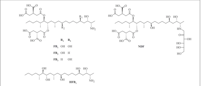 figure 1. structures of mentioned fumonisins