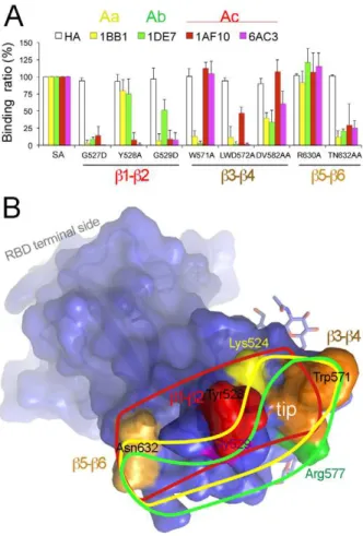 Figure 2D was prepared with LIGPLOT (http://www.ebi.ac.uk/