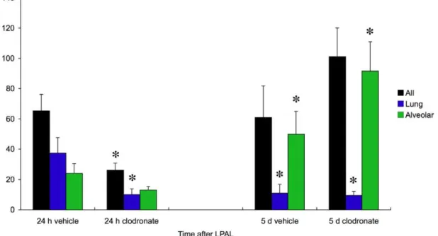 Figure 7. Changes in macrophage subtype in mice treated with clodronate liposomes. The effects of the short liposome treatment were assessed 24 h and 5 d after LPAL (cell #/10,000 live cells)