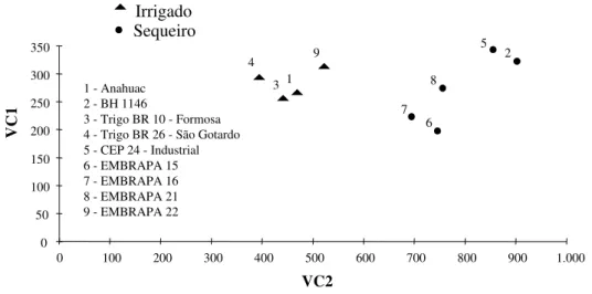 Figura 2  -  Dispersão de nove genótipos de trigo em relação às duas primeiras  variáveis canônicas (VC1 e VC2)