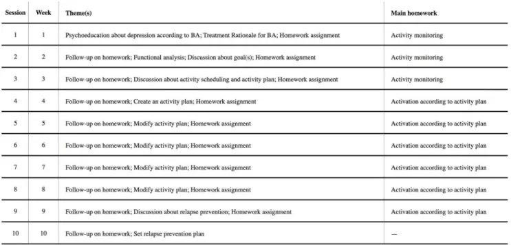 Fig 3. Description of session content for full BA treatment.