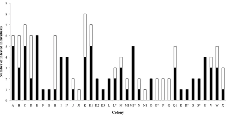 Table 2. Results of GEE’s evaluating the effects of life-history traits, season and colony size on mite loads in highveld  mole-rats (n = 124).