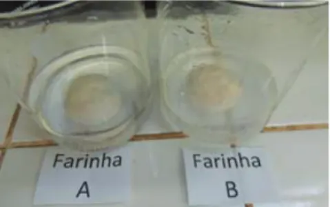 Figura 2: O processo de lavagem das amostras.